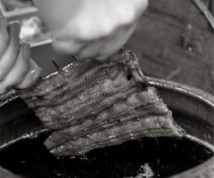 伝統の味　小川菊の鰻